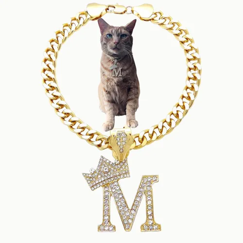 Vista 50 de Collar de cadena con letra inicial cubana para perro, collar de cadena para mascotas, gato, collar para cachorro (S, 25 cm)