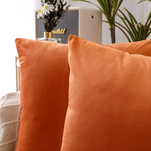 Vista 6 de NiNi ALL - Juego de 2 fundas de almohada decorativas de terciopelo, fundas de almohada para sofá, fundas de almohada para dormitorio, sala de estar