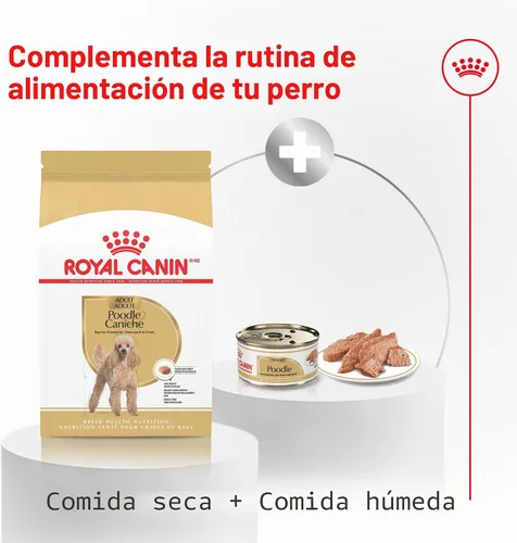 Vista 7 de ROYAL CANIN Poodle - Alimento seco para perros adultos, bolsa de 2.5 libras