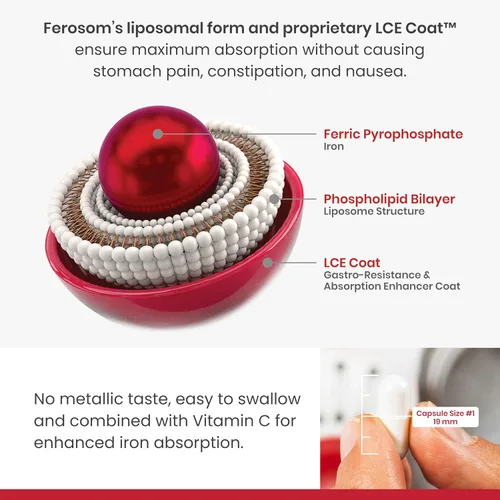 Vista 2 de LCE Hierro Liposomal Polvo 21 mg, Suplemento de Hierro