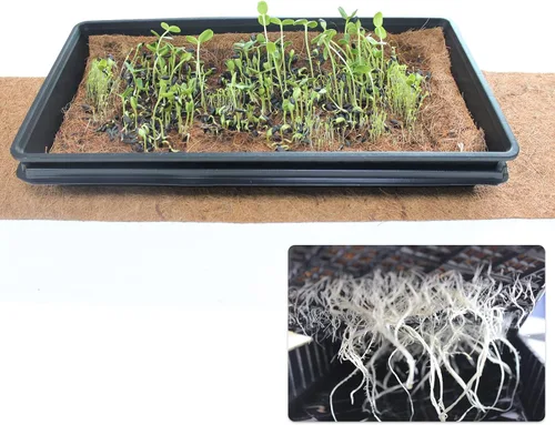 Vista 4 de Coco Liner Rolls - Paquete de 4 rollos de cesta de 10 x 40 pulgadas, hoja de fibra de coco, cesta para colgar en la pared