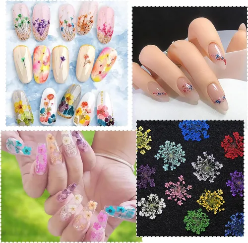 Vista 5 de 2 cajas de flores secas para uñas, mini flores de uñas reales 3D, flores secas, calcomanías de uñas, decoración de uñas, decoración de manicura