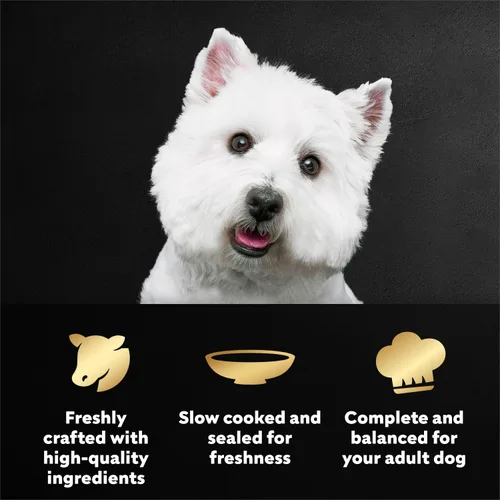 Vista 2 de Cesar Mini-Pouch - Alimento húmedo para perros, sabor a carne Angus, 1.76 onzas, 20 unidades Real beef, protein-packed, no fillers or artificial