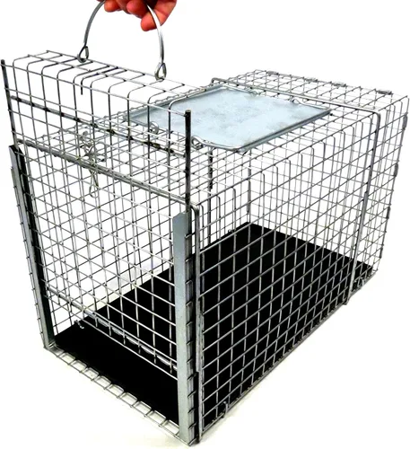 Vista 2 de Tomahawk Live Trap - Modelo 306NC - Jaula de transferencia Tomahawk serie TNR - 20x11x12