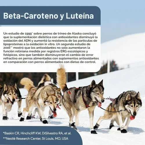 Vista 6 de Suplemento de visión y cognición para perros mayores, 60 masticables