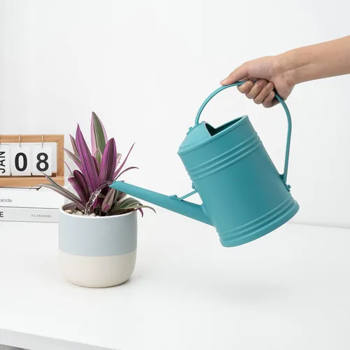 Vista 3 de Regadera para plantas de interior, regadera de flores, regadera de plástico para plantas, regadera de interior con cabezal de aspersor de 68 onzas