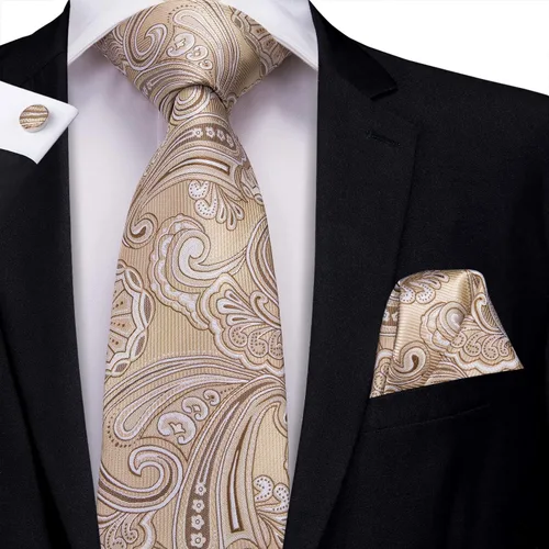 Vista 2 de Hi-Tie Conjunto de corbata de cachemira de seda y gemelos cuadrados de bolsillo