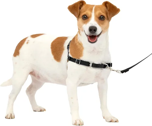 Vista 30 de PetSafe Easy Walk - Arnés para perro, sin tirones, gris carbón Carbón/Negro