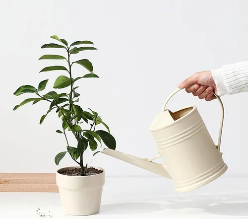 Vista 4 de Medidor de humedad del suelo para plantas de interior, pequeña regadera para plantas