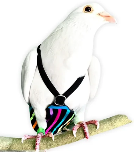 Vista 7 de FLYPER Mini pañal ajustable para pájaros, reutilizable, lavable, ajuste cómodo para loros, cacatúas y otros pájaros pequeños, accesorios de aviar