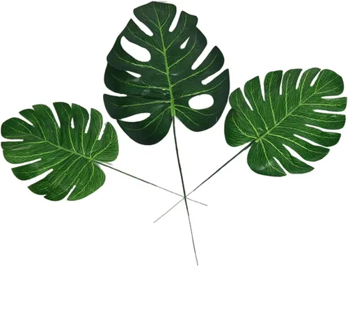 Vista 3 de Zerodeko 10pcs Jarrón de musgo plantas verdes sabrosa hiedra