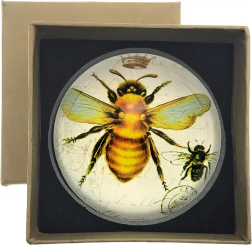 Vista 4 de Value Arts Pisapapeles de abeja imperial, cúpula de cristal, caja de regalo, 3 pulgadas de diámetro