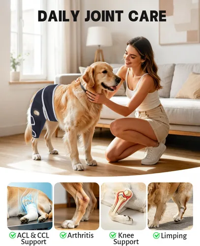 Vista 2 de Dog Knee Brace for Torn Acl Hind Leg, Relieves Ligament Injury and Joint Pain, Adjustable Leg Support Bracket for Warmth and Support, Universal Dog