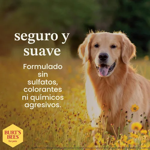 Vista 5 de Burt's Bees for Pets Champú desodorante para perros, manzana y romero, 16 onzas líquidas