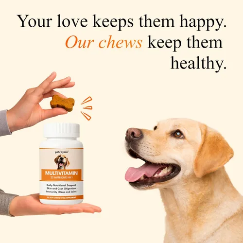 Vista 6 de Masticables multivitamínicos para perros – Apoyo articular + enzimas digestivas y probióticos – Multivitaminas masticables para perros – Vitaminas