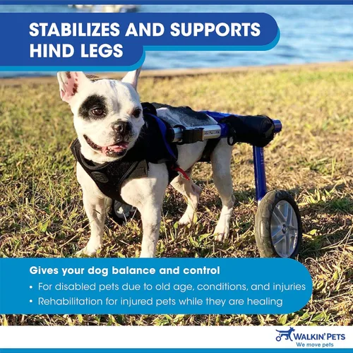 Vista 7 de Silla de ruedas de perro para perros pequeños, 26 a 69 libras, de Walkin' Wheels, 2, Azul