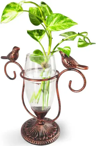Vista 9 de Paquete de 2 Terrarios de Plantas de Escritorio, Jarrón de Vidrio con Arte de Pájaros para Propagación, Macetas de Propagación con Marco de Metal
