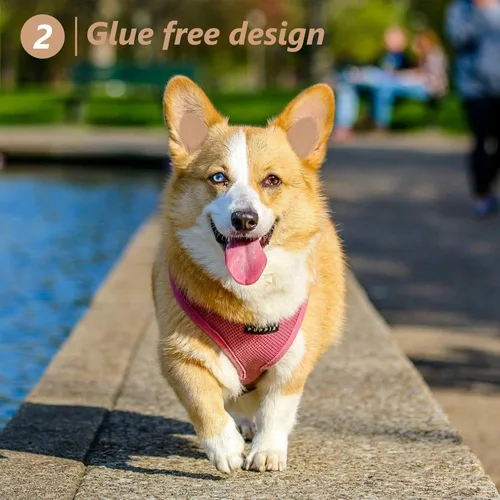 Vista 2 de VANZACK Herramienta de soporte para orejas de perro, herramienta de soporte para orejas de perro, corrección fija, soporte vertical, cubierta