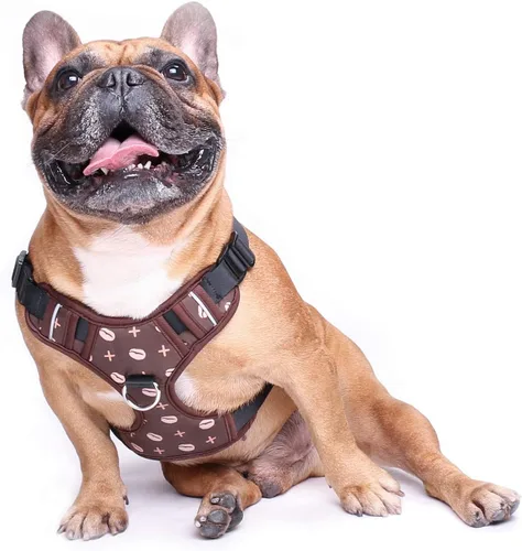 Vista 34 de iChoue Arnés para bulldog francés, ajustable, acolchado, hebilla bloqueada con asa para perros carlino francés, Boston Terrier inglés, azul, talla S