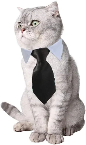 Vista 2 de Disfraz de 4 piezas para mascotas, perro, gato, corbatín para mascotas, collar formal ajustable para gatos, perros pequeños, accesorios de aseo