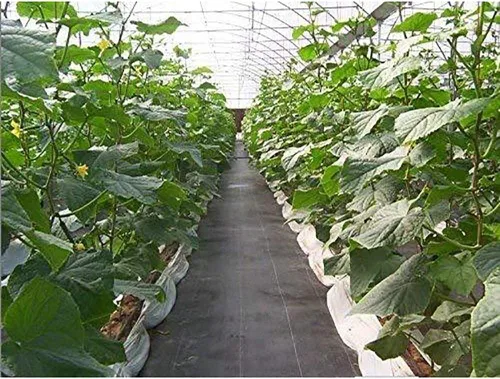 Vista 8 de Tela para jardinería Agfabric para cubrir el suelo y controlar la maleza, de 3.2 oz, Negro
