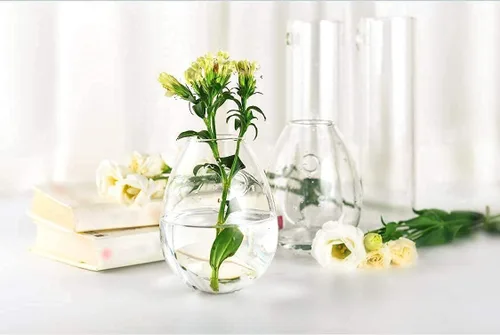 Vista 3 de Kingbuy Maceta de cristal para colgar en la pared, florero, estación de propagación de plantas hidropónicas, decoración de jardín, oficina en casa