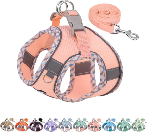 Vista 14 de AIITLE Arnés para Perros Pequeños - Chaleco Ligero de Malla Step-in para Cachorros, Diseño Reflectante y a Prueba de Escape con Cinta Mágica de Alta