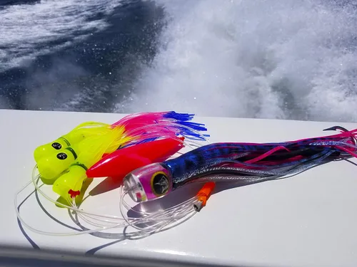 Vista 9 de Lobo Lures # 202 Bigeye - Cadena híbrida de margarita híbrida con diseño de atún de caramelo UV pelágico