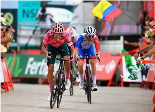 Vista 5 de GO RIGO GO! Jersey KM100 Comfort Jazmin