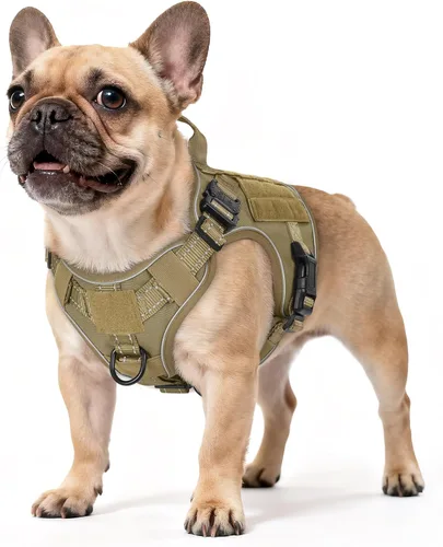 Vista 37 de rabbitgoo - Arnés táctico para perros pequeños, arnés resistente para mascotas con asa, chaleco de servicio sin tirones para razas pequeñas, chaleco
