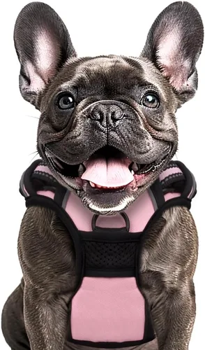 Vista 9 de Buddy's Best Arnés para perro, arnés sin tirones para mascotas, con 2 clips para correa, arnés ajustable suave acolchado reflectante de seguridad