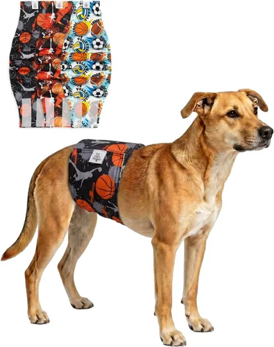 Vista 43 de CuteBone - Pañales lavables para perro macho, banda abdominal, paquete de 3 unidades, color negro, modelo DM54XS