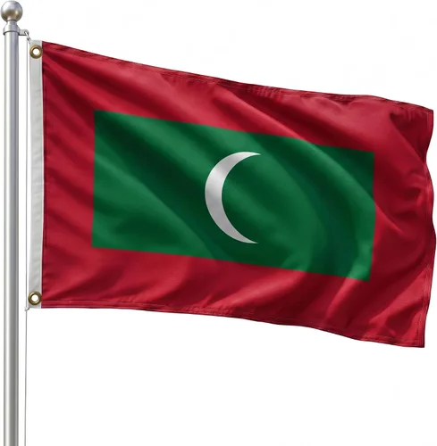 Vista 131 de DMSE - Bandera nacional beninesa beninesa de la República de África Occidental, 2 x 3 pies, 100 % poliéster, 100 % poliéster, resistente a los rayos
