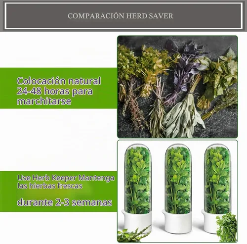 Vista 6 de Protector de hierbas, conservador de hierbas para refrigerador, recipiente de cilantro para refrigerador, hierbas frescas, lechuga, conservación