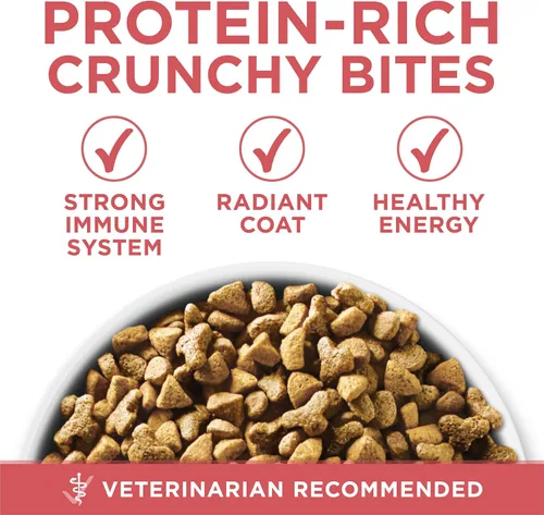 Vista 6 de Purina ONE Alimento Natural para Gatos Bajo en Grasa, Alimento Seco para Control de Peso en Interiores Alto en Proteína Más Ventaja para Interiores