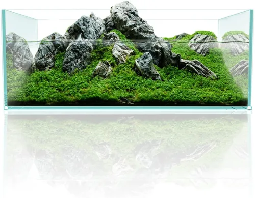 Vista 3 de Fzone 6.4 Gal Acuario poco profundo sin borde de bajo contenido de hierro para peces Nova Clear Ultra-Blanco con bordes biselados de 45° de vidrio