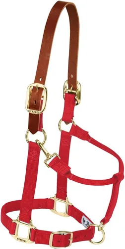 Vista 20 de Weaver Equine Breakaway Horse Halter, Supple Leather Crown, Adjustable Brass Throat Snap Halters for Horses, Equine Tack