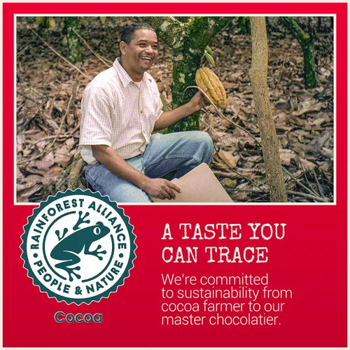 Vista 4 de Chocolove Barras de chocolate oscuro Cherry & Almonds 55% cacao Infundido con cerezas reales y almendras crujientes Fabricado con chocolate