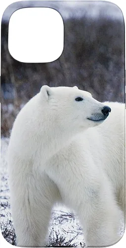 Vista 6 de Polar Bears Animal Nature Case for iPhone 17