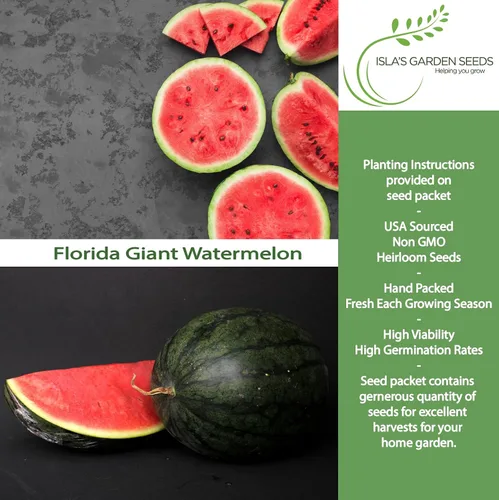Vista 2 de Cultiva enormes sandías gigantes de Florida, más de 25 semillas de reliquia sin OMG de Isla's Garden Seeds, melones masivos de 40 a 50 libras