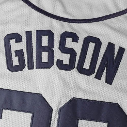 Vista 5 de Josh Gibson Jersey, 20 Homestead Grays Negro Liga Nacional Camiseta de Béisbol, Camiseta deportiva cosida S-3XL