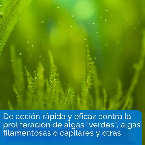 Vista 3 de API Algaefix - Solución de control de algas, botella de 1.25 onzas