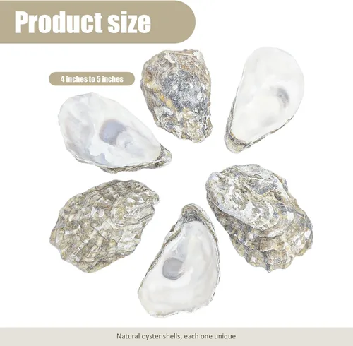 Vista 2 de stonechic 60 conchas de ostras de 4 a 5 pulgadas, conchas de ostras grandes a granel para decoración del hogar, relleno de jarrones, adornos