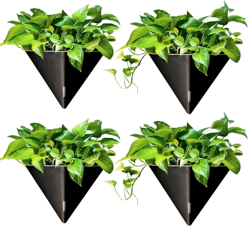 Vista 10 de LaLaGreen - Maceteros de pared para plantas de interior, paquete de 2, 12 pulgadas, grandes con autoriego, negro, geométrico, colgante, florero