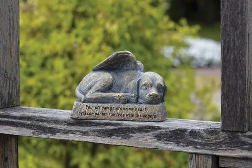 Vista 4 de Roman Jardín - Estatua de jardín de perro con alas, 6H, colección de jardín, resina y piedra, decorativo, regalo conmemorativo, regalo de jardín