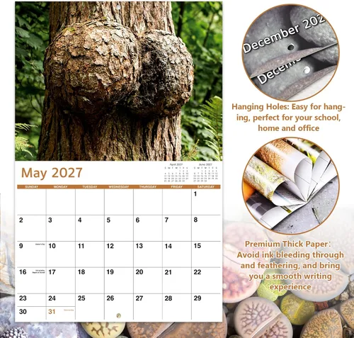 Vista 4 de Calendario 2026 – Regalos de broma, calendario divertido 2026, enero 2026 – diciembre 2026, calendario divertido de naturaleza, 11" x 17" (abierto)