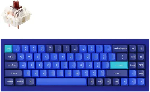 Vista 24 de Keychron Q4 Teclado mecánico personalizado con cable, 60% de diseño QMK/VIA macro programable con interruptor rojo Gateron G Pro intercambiable