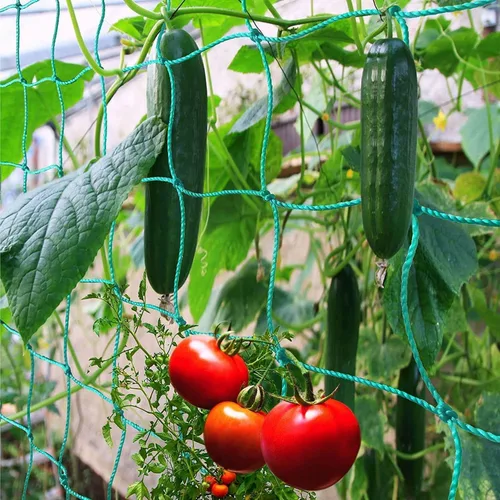 Vista 2 de Paquete de 2 redes de enrejado de pepino y tomate, red de jardín resistente para soporte de plantas trepadoras, guisantes, uvas, frijoles, frutas