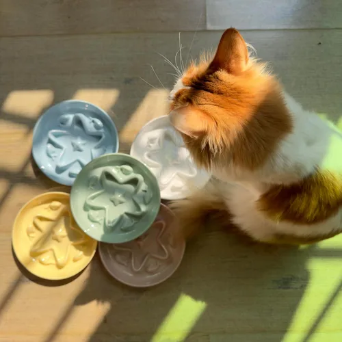 Vista 8 de Cuenco de alimentación lenta para gatos, de melamina, apto para bigotes, para comer lentamente, alimentos húmedos y secos, apto para lavavajillas