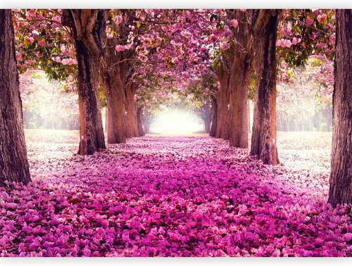 Vista 18 de artgeist Mural de pared Paisaje de la naturaleza, 77 x 55 pulgadas, papel tapiz autoadhesivo, extraíble, gran adhesivo, decoración de pared, diseño